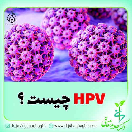HPV چیست