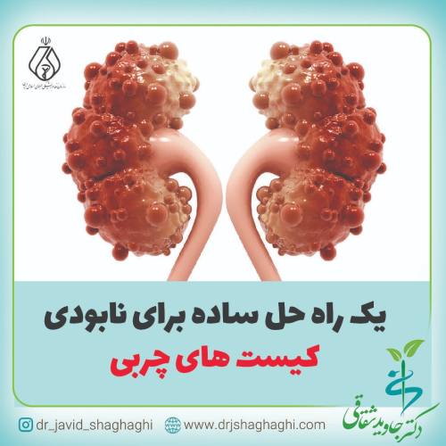 یک راه حل ساده برای نابودی کیست های چربی