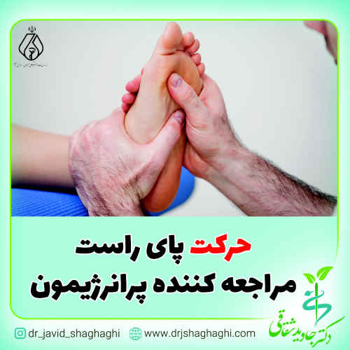حرکت پای راست مراجعه کننده پر انرژی مون